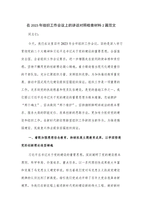 在2023年组织工作会议上的讲话对照检查材料2篇范文.docx