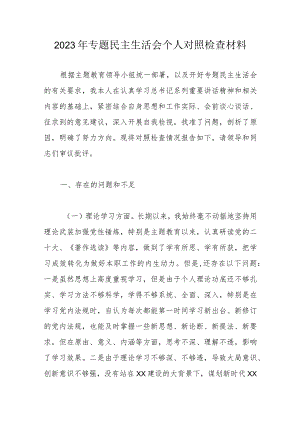 2023年专题民主生活会个人对照检查材料.docx