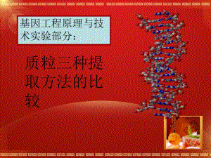 质粒提取方法.ppt