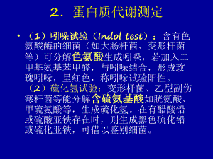 蛋白质样品的制备24.ppt