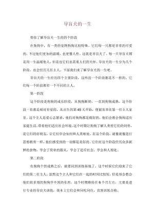 导盲犬的一生.docx