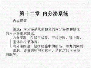 解剖学课件内分泌系统.ppt