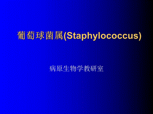葡萄球菌属Staphylococcus.ppt