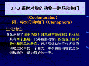 辐射对称的动物腔肠动物门.ppt