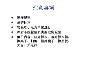 躯干骨10级.ppt