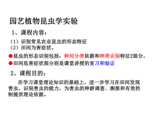 蔬菜实验园艺.ppt