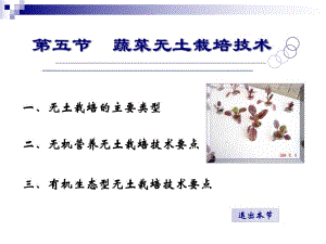 蔬菜无土栽培.ppt
