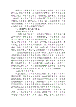 国企纪检委员主题教育专题组织生活会对照检查3300字.docx
