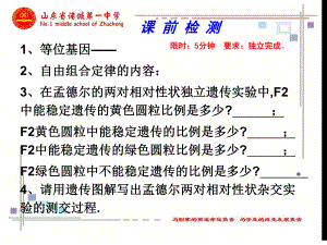 自由组合定律计算.ppt