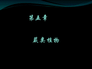 蕨类植物.ppt