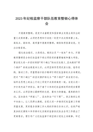 2023全国纪检监察干部队伍教育整顿的心得体会感悟材料(五篇汇编).docx