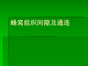 蜂窝组织间隙及通连.ppt