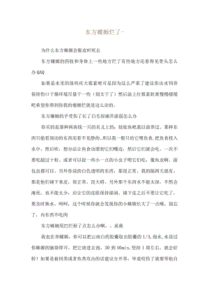 东方蝾螈烂了--为什么东方蝾螈会脱皮时死去.docx