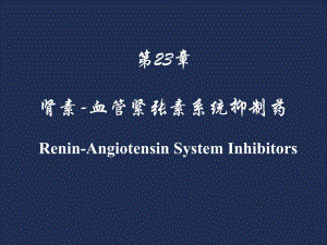 药理学第2版23肾素血管紧张素.ppt