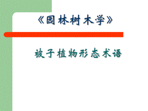 被子植物形态术语自学.ppt
