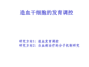造血干细胞的发育调控.ppt