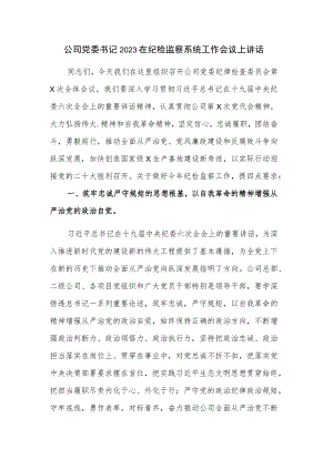 公司党委书记2023在纪检监察系统工作会议上讲话.docx