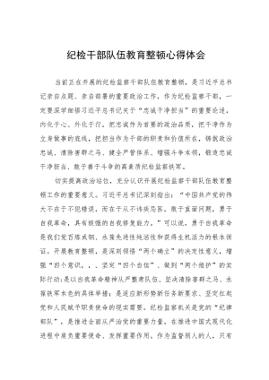 “2023年纪检监察干部队伍教育整顿”心得体会(5篇).docx