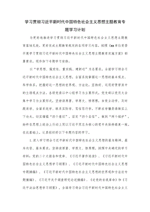 学习贯彻主题教育专题学习计划.docx