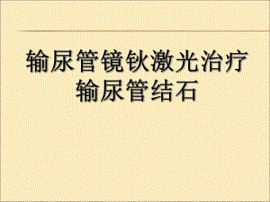 输尿管镜钬激光治疗输尿管结石.ppt