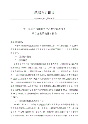 绩效评价报告.docx