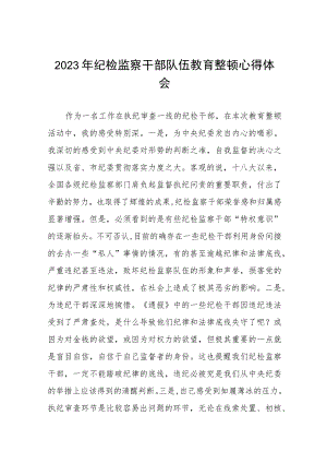 关于2023纪检监察干部队伍教育整顿的心得体会(10篇).docx