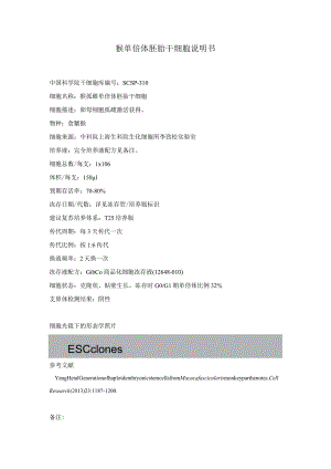 猴单倍体胚胎干细胞说明书.docx