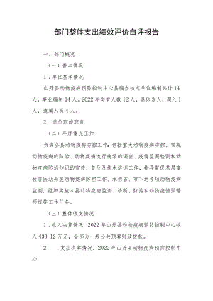 部门整体支出绩效评价自评报告.docx