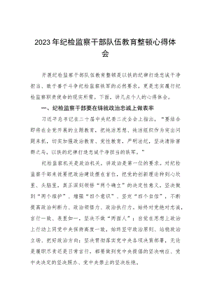 2023年纪检监察干部队伍教育整顿心得体会最新范5篇.docx