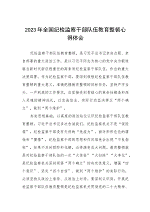 (最新)2023全国纪检监察干部队伍教育整顿心得体会8篇.docx