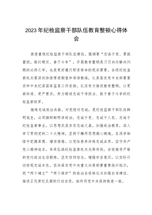 纪检干部队伍教育整顿心得体会发言稿(五篇).docx