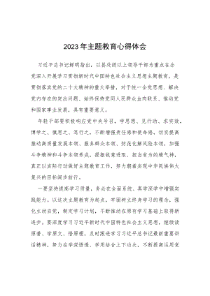 四篇2023年主题教育心得体会有感发言范文.docx
