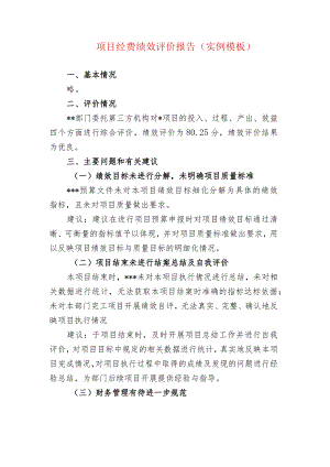 项目经费绩效评价报告(实例模板).docx