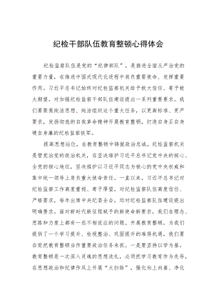 全国纪检监察干部队伍教育整顿心得体会发言材料精品八篇范文.docx