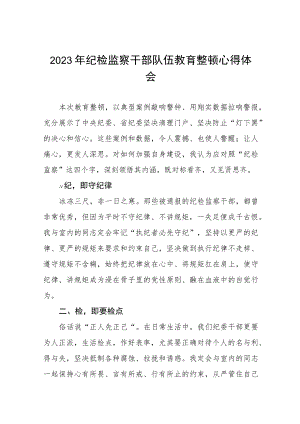 2023年纪检监察干部队伍教育整顿心得体会分享发言(八篇).docx