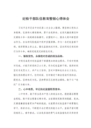 纪检干部队伍教育整顿学习心得体会(十篇).docx