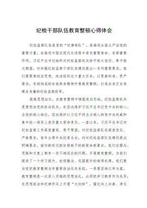 纪检干部队伍教育整顿心得体会交流发言(八篇).docx