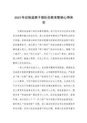 2023年全国纪检监察干部队伍教育整顿心得体会发言材料8篇.docx