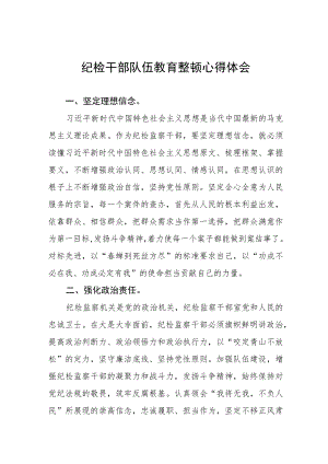 关于纪检干部队伍教育整顿心得体会的研讨材料(十篇).docx
