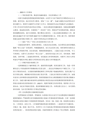 统计系统年度工作总结：县统计局2023年工作总结及2024年工作谋划.docx