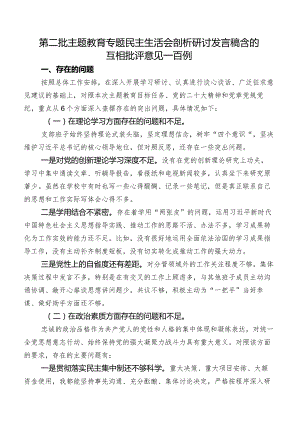 第二批专题教育专题民主生活会剖析研讨发言稿含的互相批评意见一百例.docx
