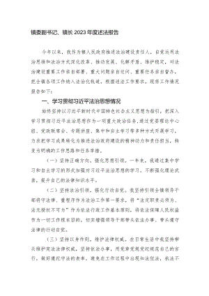 镇委副书记、镇长2023-2024年度述法报告.docx