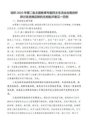 组织2023年第二批集中教育专题民主生活会自我剖析研讨发言稿后附的互相批评意见一百例.docx