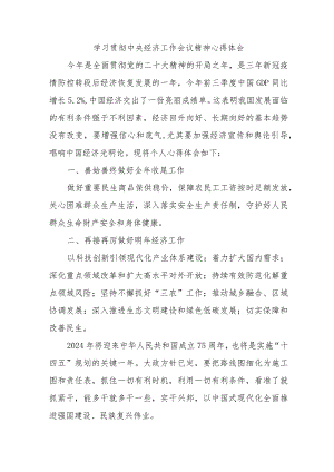 银行出纳《学习贯彻中央经济》工作会议精神心得体会汇编3份.docx