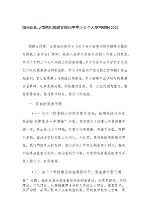 镇长巡视反馈意见整改专题民主生活会个人发言提纲2023.docx