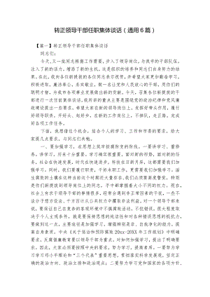 转正领导干部任职集体谈话(通用6篇).docx