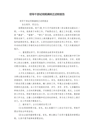 领导干部试用期满转正述职报告.docx
