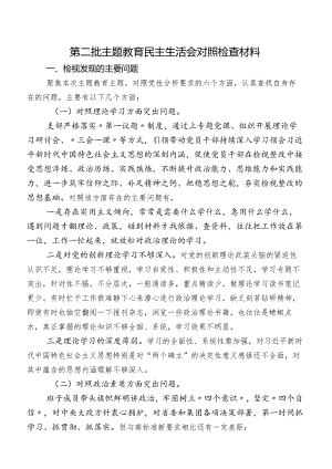 第二批专题教育民主生活会对照检查材料.docx