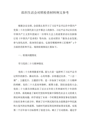 组织生活会对照检查材料例文参考.docx