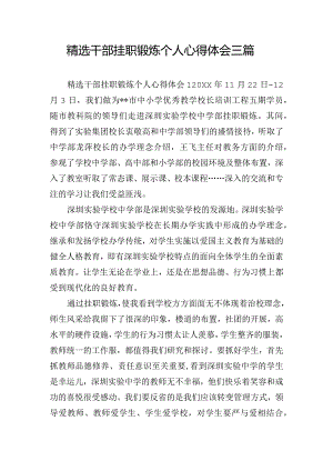 精选干部挂职锻炼个人心得体会三篇.docx